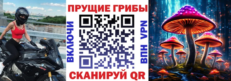 Галлюциногенные грибы Cubensis  KRAKEN ссылка  Нижний Тагил  закладки 