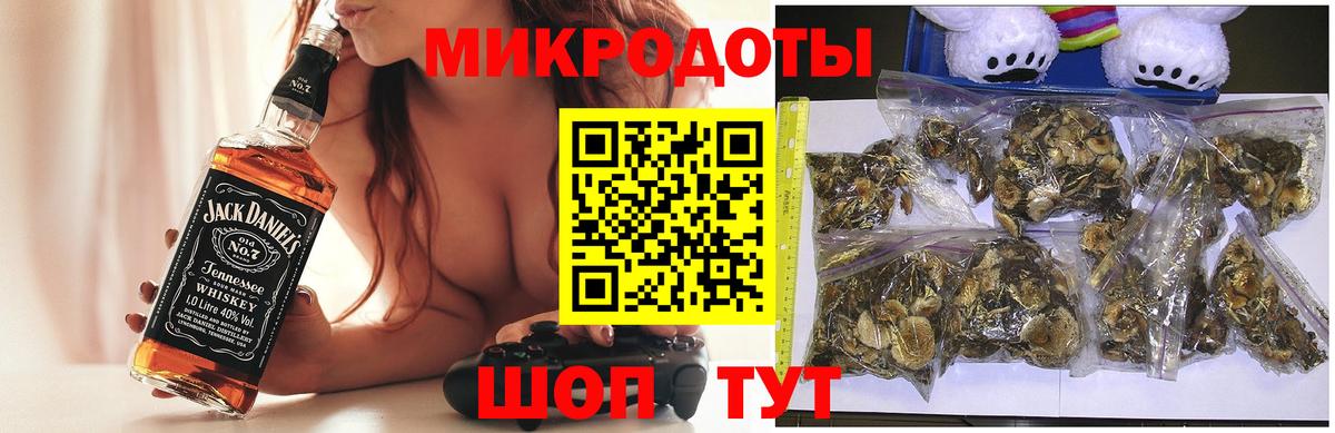 Псилоцибиновые грибы мицелий Нижний Тагил